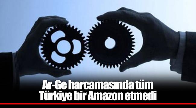 Ar-Ge harcamasında tüm Türkiye bir Amazon etmedi