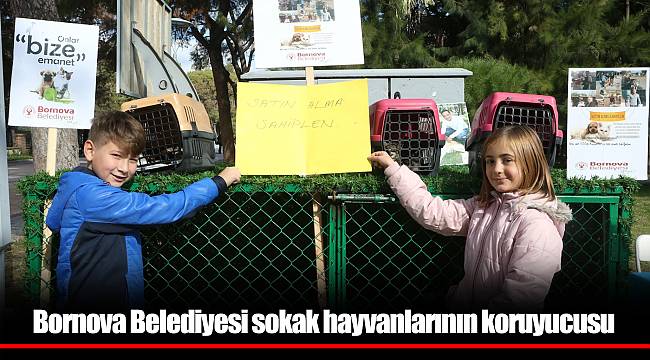 Bornova Belediyesi sokak hayvanlarının koruyucusu