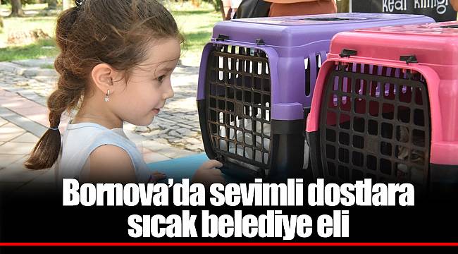 Bornova’da sevimli dostlara sıcak belediye eli