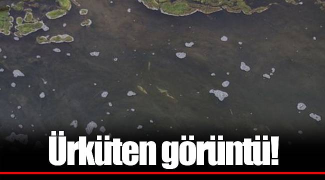 "Bugüne kadar böyle bir şey görülmedi"