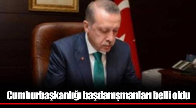 Cumhurbaşkanlığı başdanışmanları belli oldu