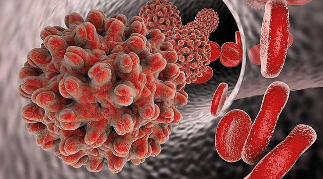 Diş hekimleri ve kuaförler Hepatit B hastalığı riski altında