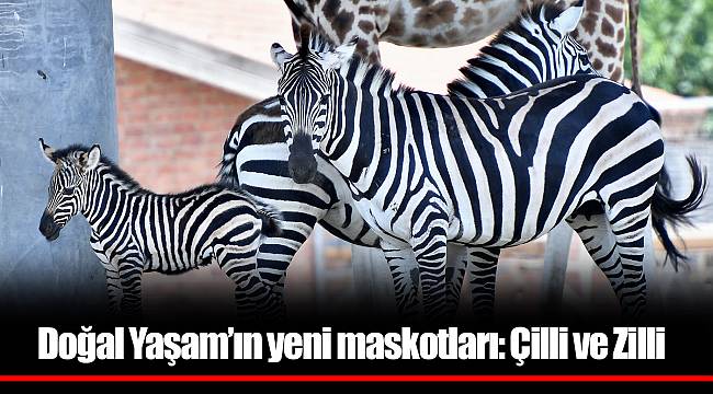 Doğal Yaşam’ın yeni maskotları: Çilli ve Zilli