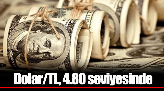 Dolar/TL, 4.80 seviyesinde