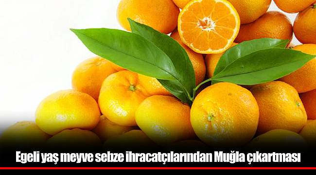 Egeli yaş meyve sebze ihracatçılarından Muğla çıkartması