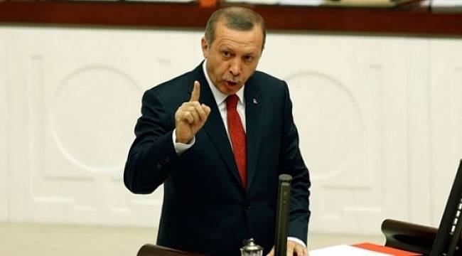 "Erdoğan, Meclis aritmetiği nedeniyle planlarını değiştirdi"