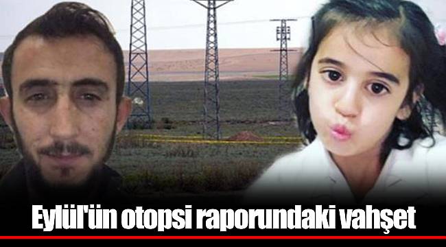 Eylül'ün otopsi raporundaki vahşet