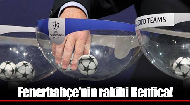 Fenerbahçe&#039;nin rakibi Benfica!