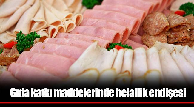 Gıda katkı maddelerinde helallik endişesi