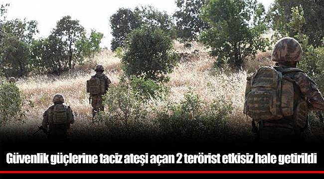 Güvenlik güçlerine taciz ateşi açan 2 terörist etkisiz hale getirildi