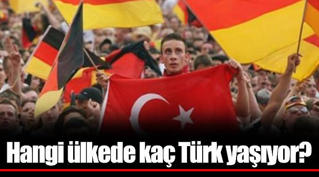 Hangi ülkede kaç Türk yaşıyor?