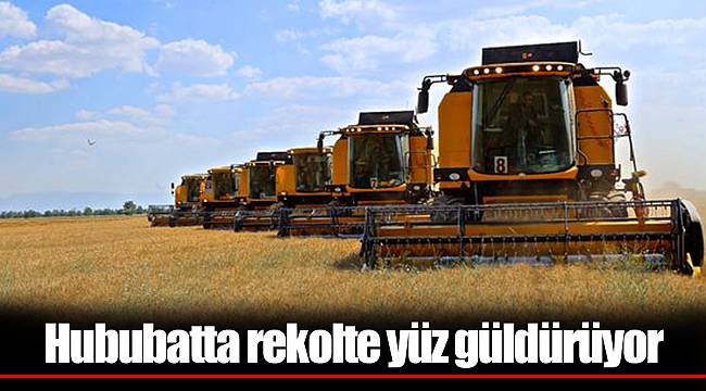 Hububatta rekolte yüz güldürüyor