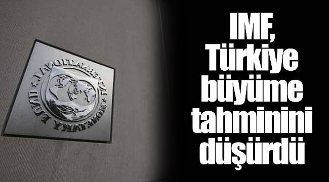 IMF, Türkiye büyüme tahminini düşürdü