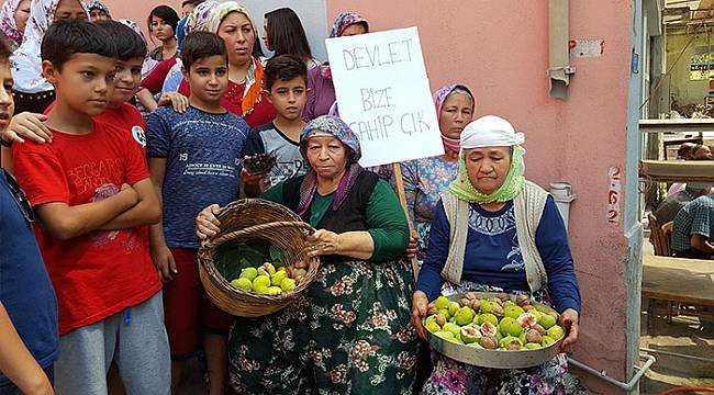 İncir üreticisi ayaklandı: "Jeotermale Hayır!"