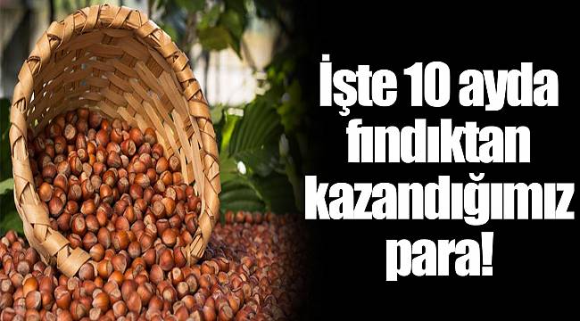 İşte 10 ayda fındıktan kazandığımız para!