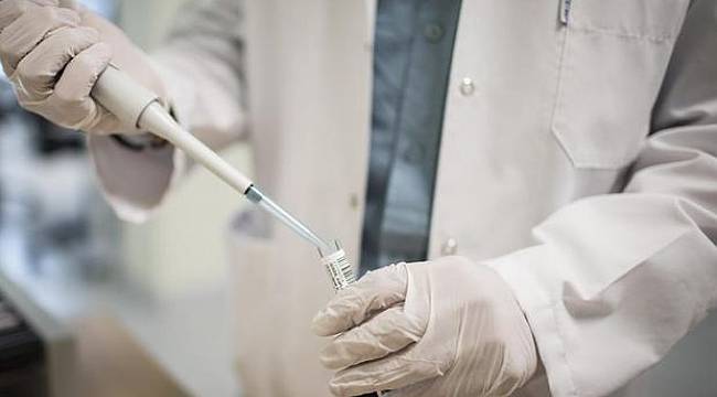 İTÜ'de yapay damar tasarlandı