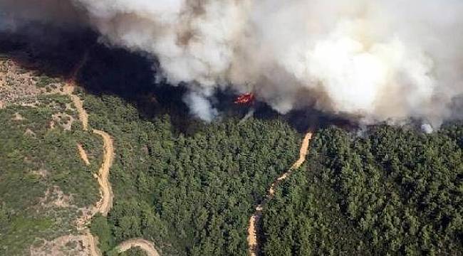 İzmir'de orman yakınında yangın