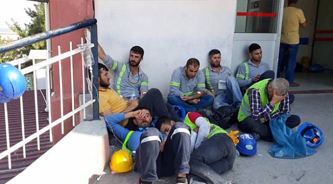 İzmir'de zehirlenen işçi sayısı 700'e yükseldi