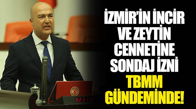 İZMİR’İN İNCİR VE ZEYTİN CENNETİNE SONDAJ İZNİ TBMM GÜNDEMİNDE!