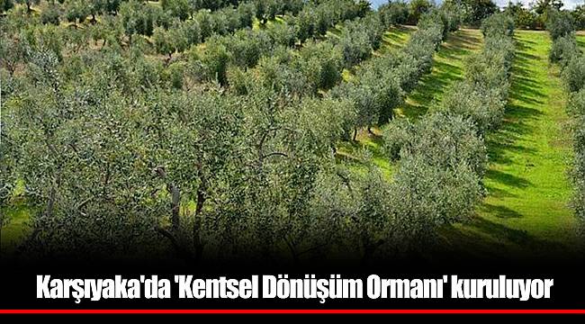 Karşıyaka'da 'Kentsel Dönüşüm Ormanı' kuruluyor