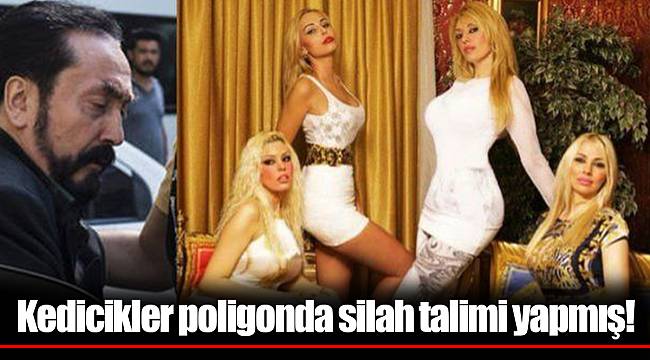 Kedicikler poligonda silah talimi yapmış!