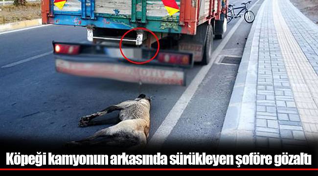 Köpeği kamyonun arkasında sürükleyen şoföre gözaltı