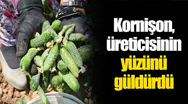 Kornişon, üreticisinin yüzünü güldürdü