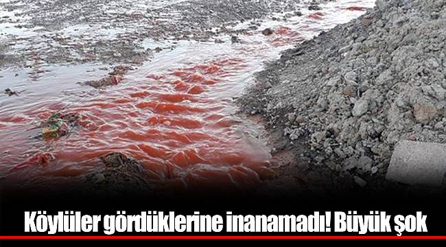 Köylüler gördüklerine inanamadı! Büyük şok