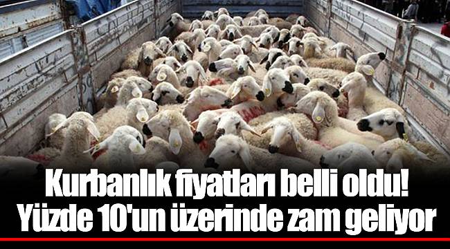 Kurbanlık fiyatları belli oldu! Yüzde 10'un üzerinde zam geliyor