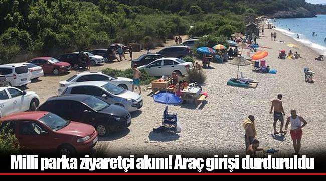 Milli parka ziyaretçi akını! Araç girişi durduruldu