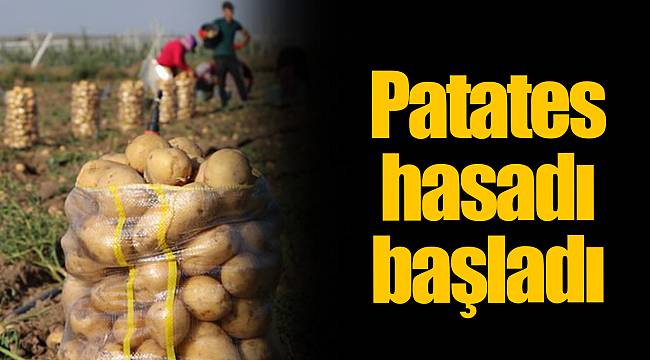 Niğde'de patates hasadı başladı