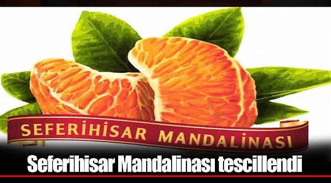 Seferihisar Mandalinası tescillendi