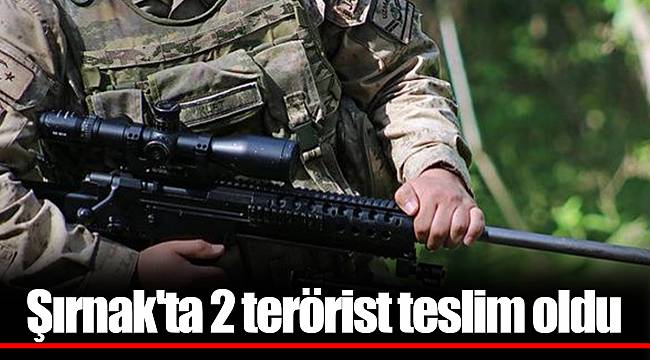 Şırnak'ta 2 terörist teslim oldu