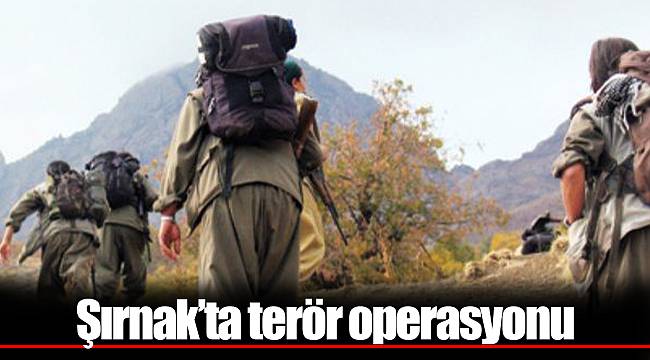 Şırnak’ta terör operasyonu