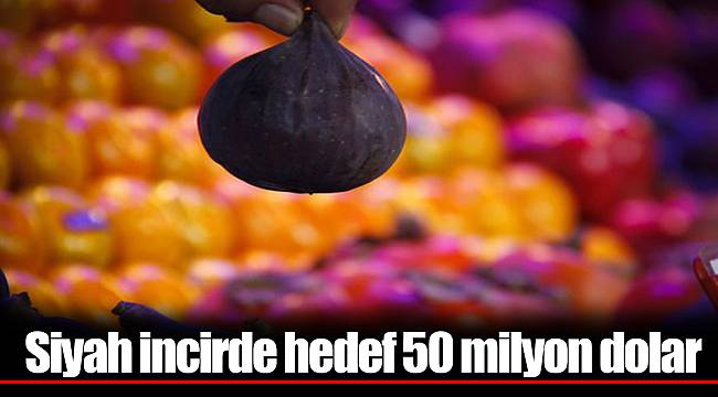 Siyah incirde hedef 50 milyon dolar