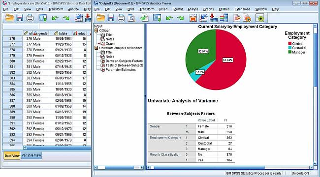 SPSS programına, aynı anda bin kullanıcı erişecek