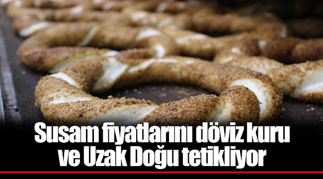 Susam fiyatlarını döviz kuru ve Uzak Doğu tetikliyor