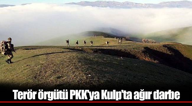 Terör örgütü PKK'ya Kulp'ta ağır darbe