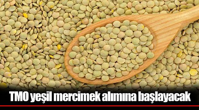 TMO yeşil mercimek alımına başlayacak