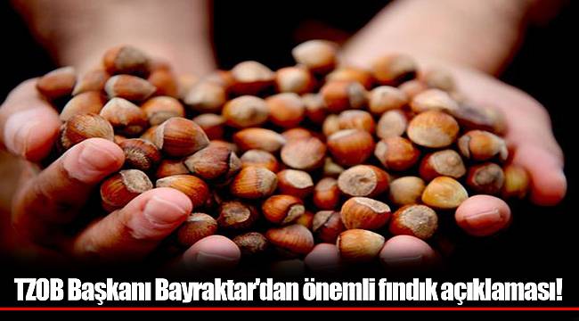 TZOB Başkanı Bayraktar'dan önemli fındık açıklaması!