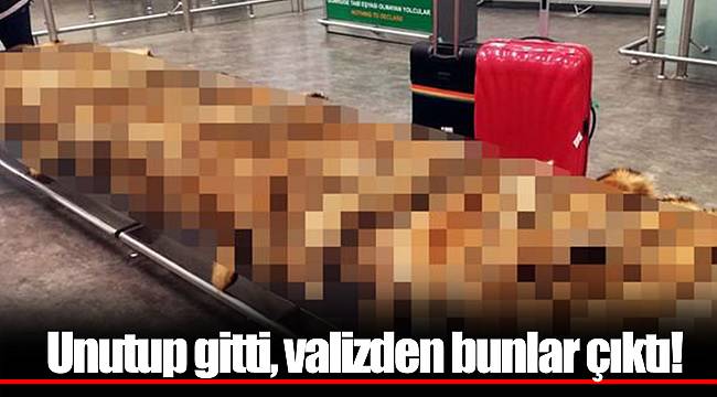 Unutup gitti, valizden bunlar çıktı!