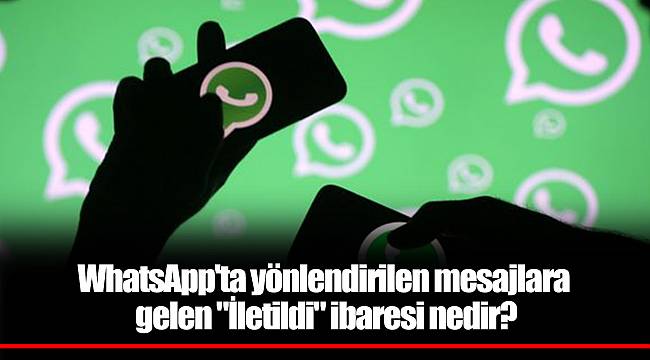 WhatsApp'ta yönlendirilen mesajlara gelen "İletildi" ibaresi nedir?