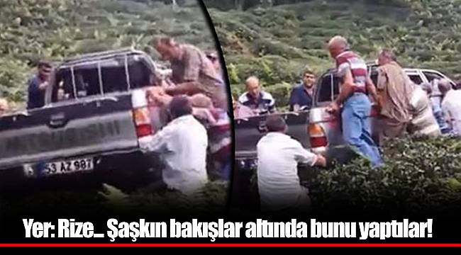 Yer: Rize... Şaşkın bakışlar altında bunu yaptılar!