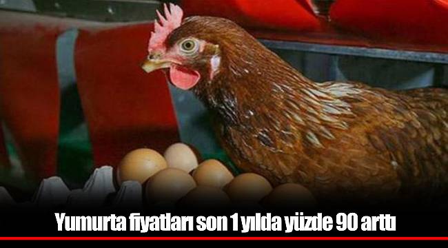 Yumurta fiyatları son 1 yılda yüzde 90 arttı