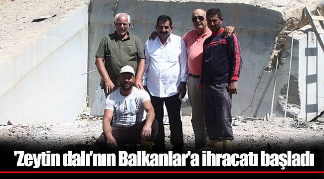 'Zeytin dalı'nın Balkanlar'a ihracatı başladı