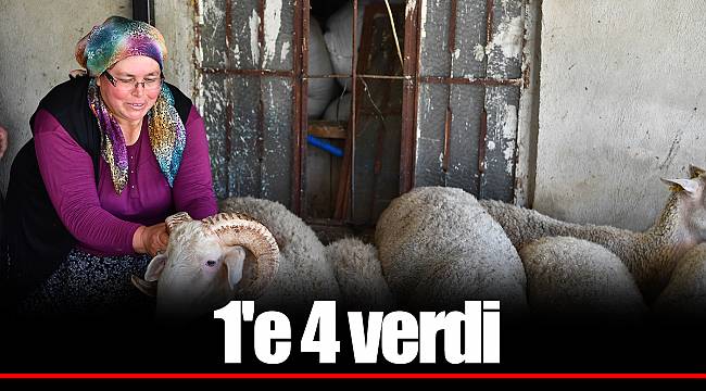 1'e 4 verdi