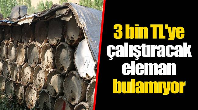 3 bin TL'ye çalıştıracak eleman bulamıyor