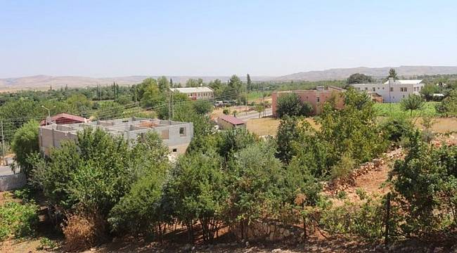 4 askerin şehit olduğu Kömür Beldesi'ne kayyum atandı