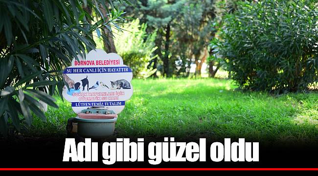  Adı gibi güzel oldu
