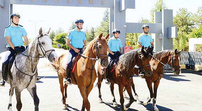 Atlı Jandarma Birliği turizm bölgelerinde yeniden göreve başladı